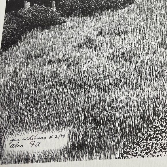 Louisville & Nashville Railroad 356 Train Prints - Picture 4 of 6